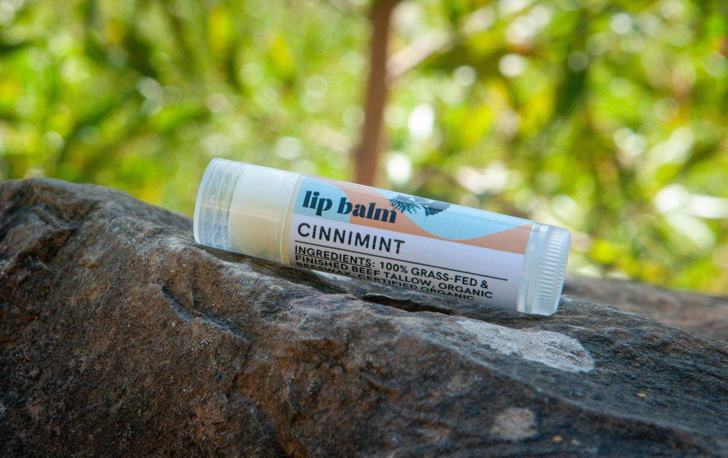 Cinnimint Tallow Lip Balm