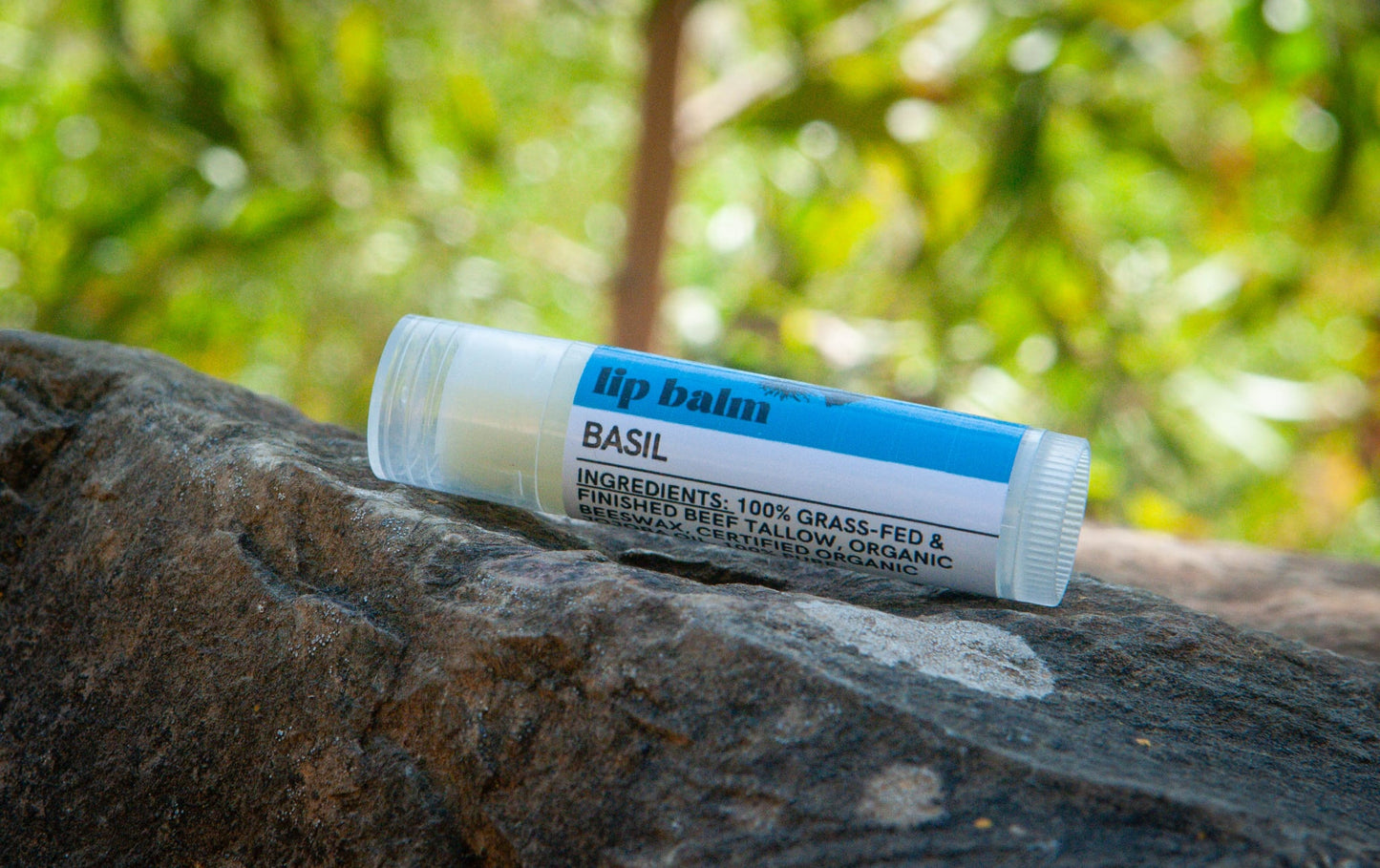 Basil Tallow Lip Balm