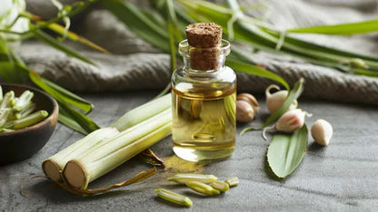 Lemongrass Tallow Soap